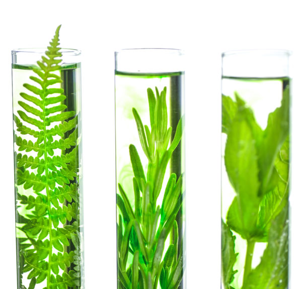 Formation L'Aromathérapie Exactement