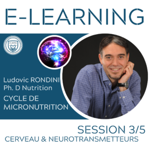 Cerveau et neurotransmetteurs