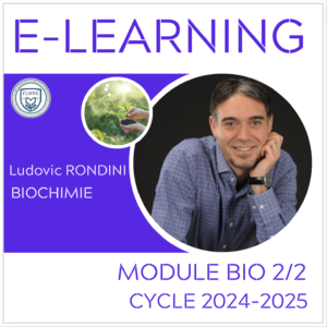 Bases de Biochimie