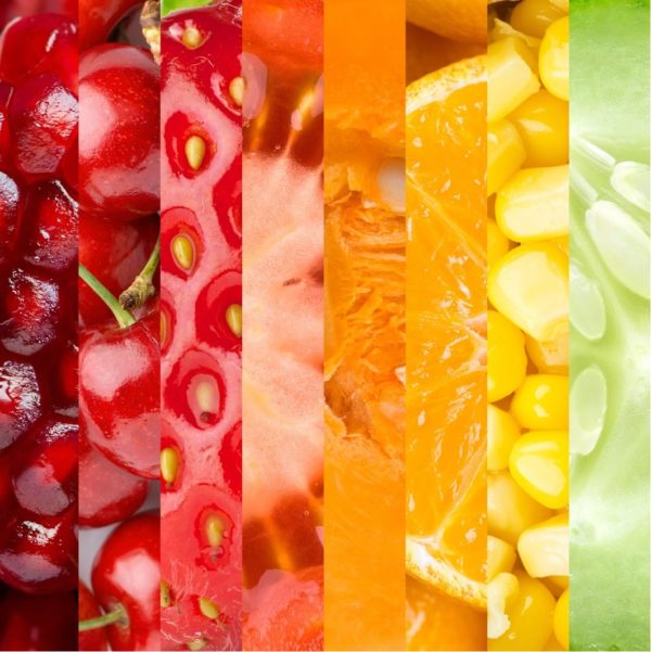 NUTRITION PAR CORRESPONDANCE NIVEAU I