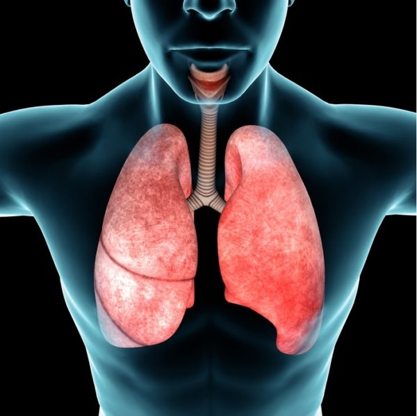 APPAREIL RESPIRATOIRE