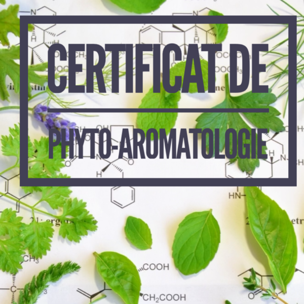 Phytothérapie-Aromathérapie 2A (cours par correspondance)