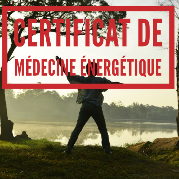 Médecine Énergétique (cours par correspondance)