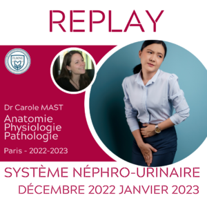 ANATOMIE ET PHYSIOLOGIE DU SYSTÈME NÉPHRO-URINAIRE [REPLAY]