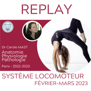 ANATOMIE ET PHYSIOLOGIE DU SYSTÈME LOCOMOTEUR [REPLAY]