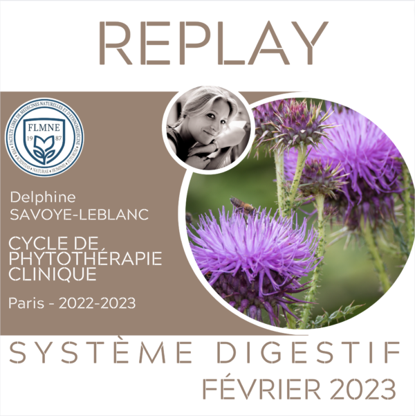 Replay Phytothérapie Système Digestif