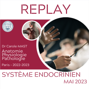 ANATOMIE ET PHYSIOLOGIE DU SYSTÈME ENDOCRINIEN [REPLAY]