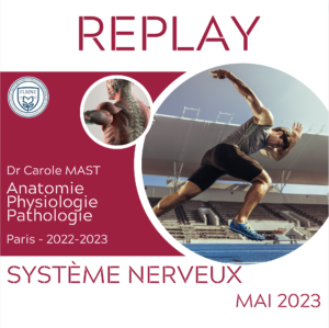 ANATOMIE ET PHYSIOLOGIE DU SYSTÈME NERVEUX [REPLAY]