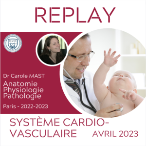 ANATOMIE ET PHYSIOLOGIE DU SYSTÈME CARDIOVASCULAIRE [REPLAY]